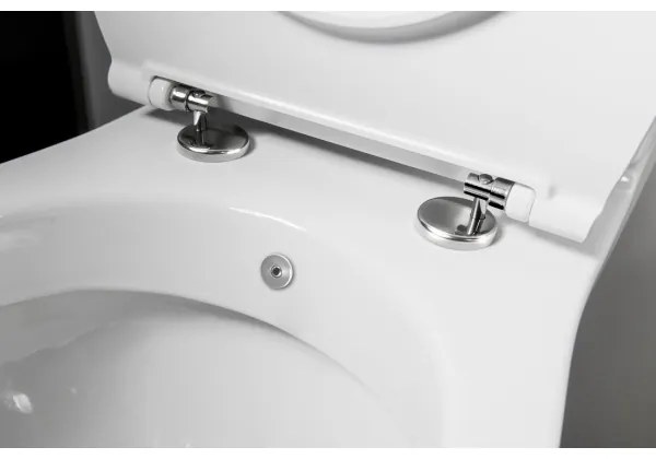 Sapho - kombinált WC kézi bidézuhannyal, hátsó kifolyással, kerámia/fehér