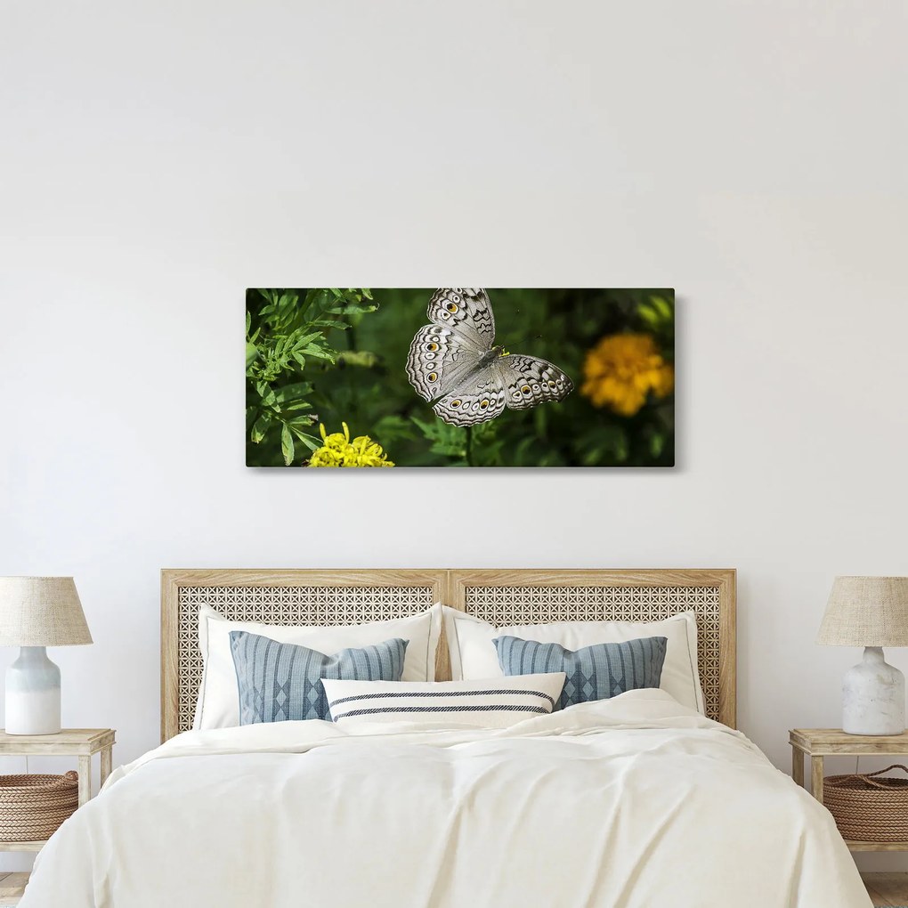 Kép - fehér pillangó (120x50 cm)