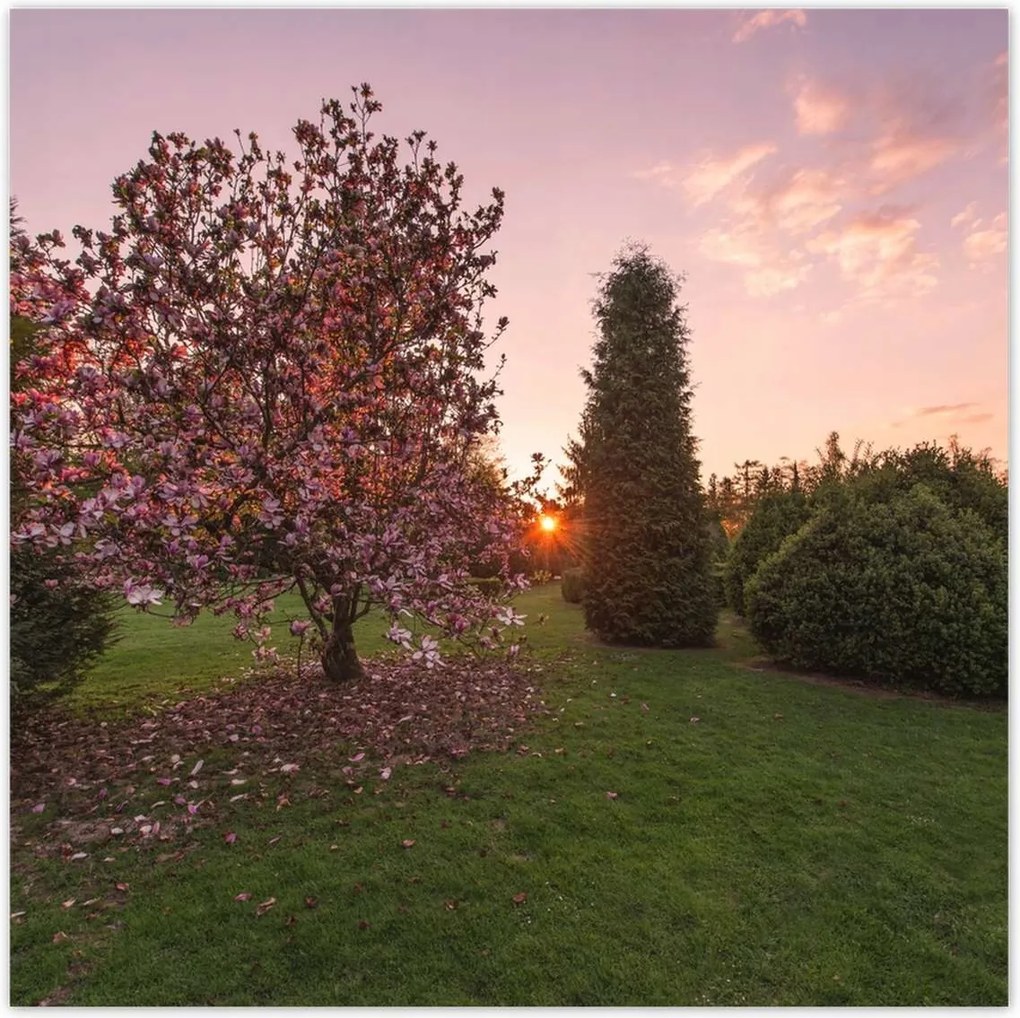 Poszterek 100x100 Kilátás Tájkép