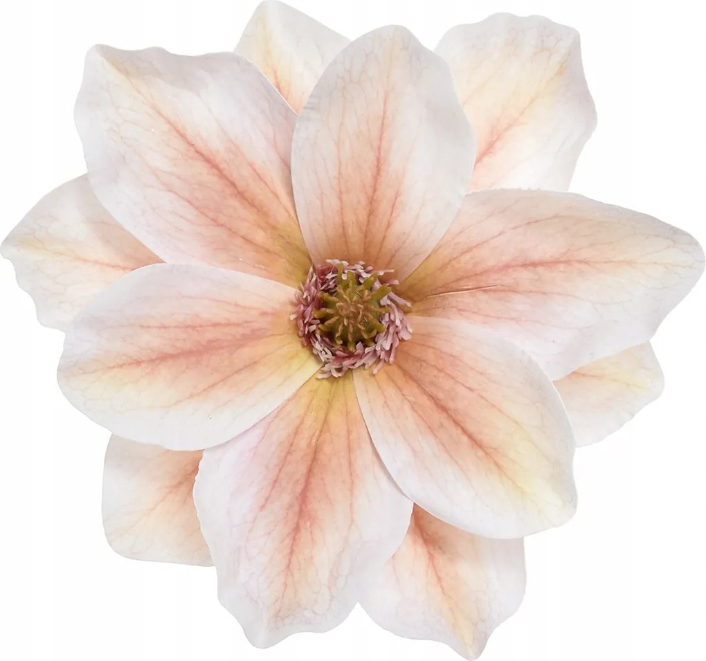 Magnólia Fej Élő Mágnólia Virágok művirág Gumi -na