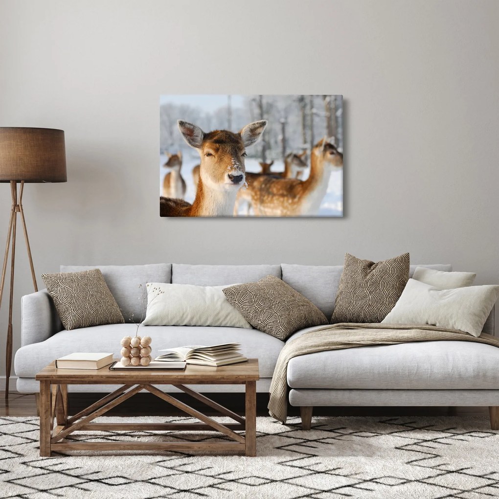 Kép - Szarvas (90x60 cm)