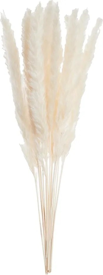 FLOWER MARKET mini pampafű csokor, fehér 30 cm