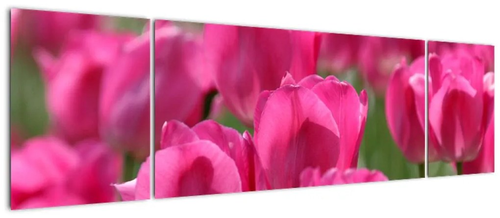 Festmények - tulipánok (170x50cm)