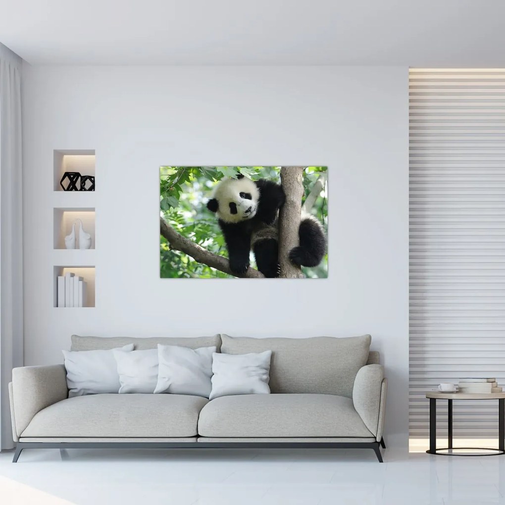 Kép - Panda a fán (90x60 cm)