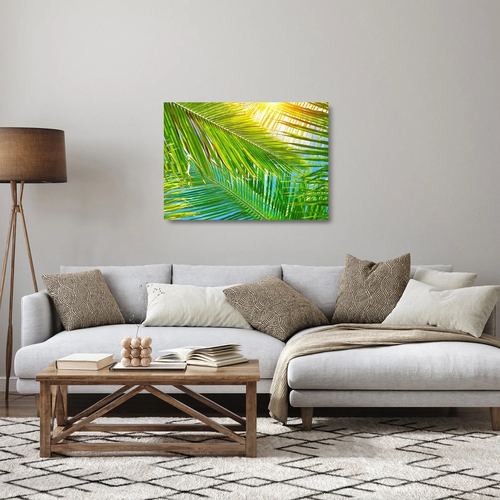 Üveg kép - Pálmalevelek (70x50 cm)