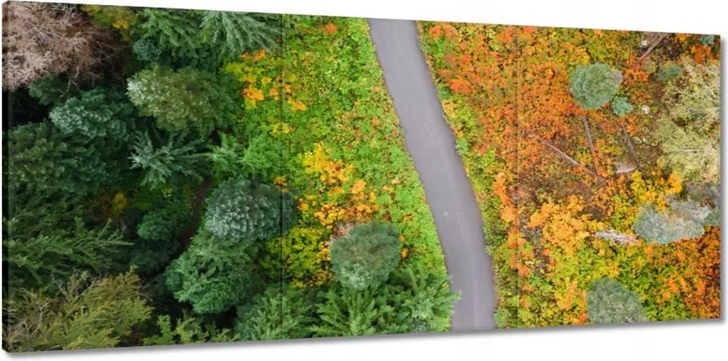 Vászonkép 150x70 Út Erdő Ősz