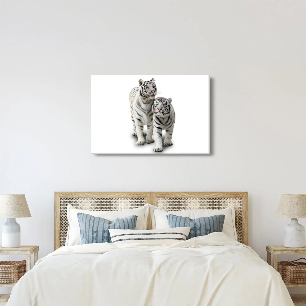 Kép - A fehér tigris (90x60 cm)