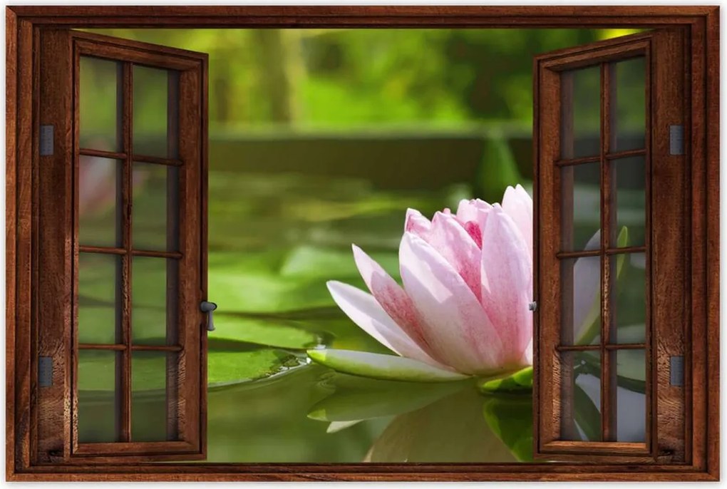 Poszterek 90x60 Vízi liliom