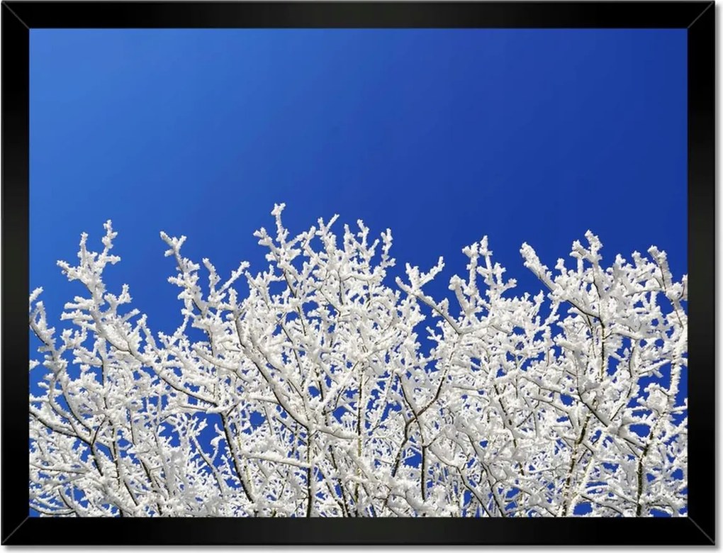 Poszterek keretben 40x30 Téli fa Dér Hó