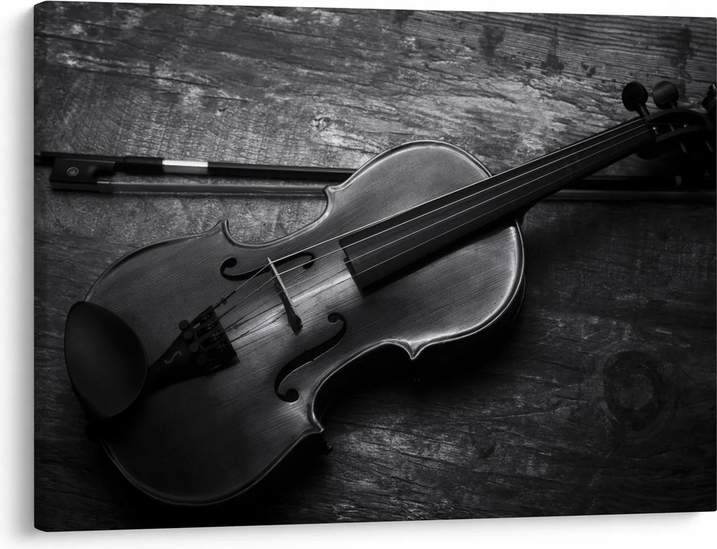 Kép - Viola (70x50 cm)