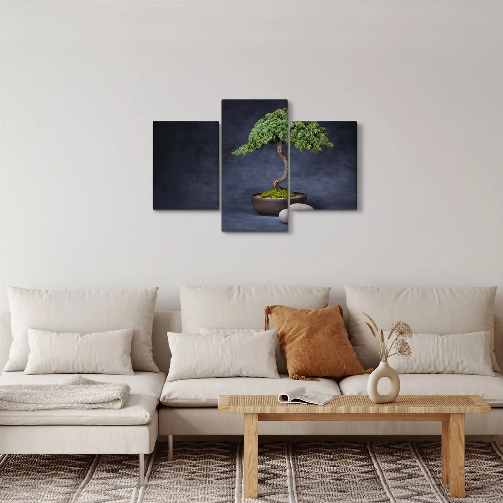 Kép - Bonsai (90x60 cm)