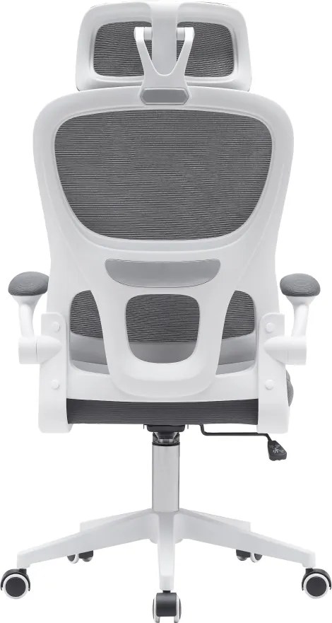 Irodai szék, sötétszürke/fehér, RENARD