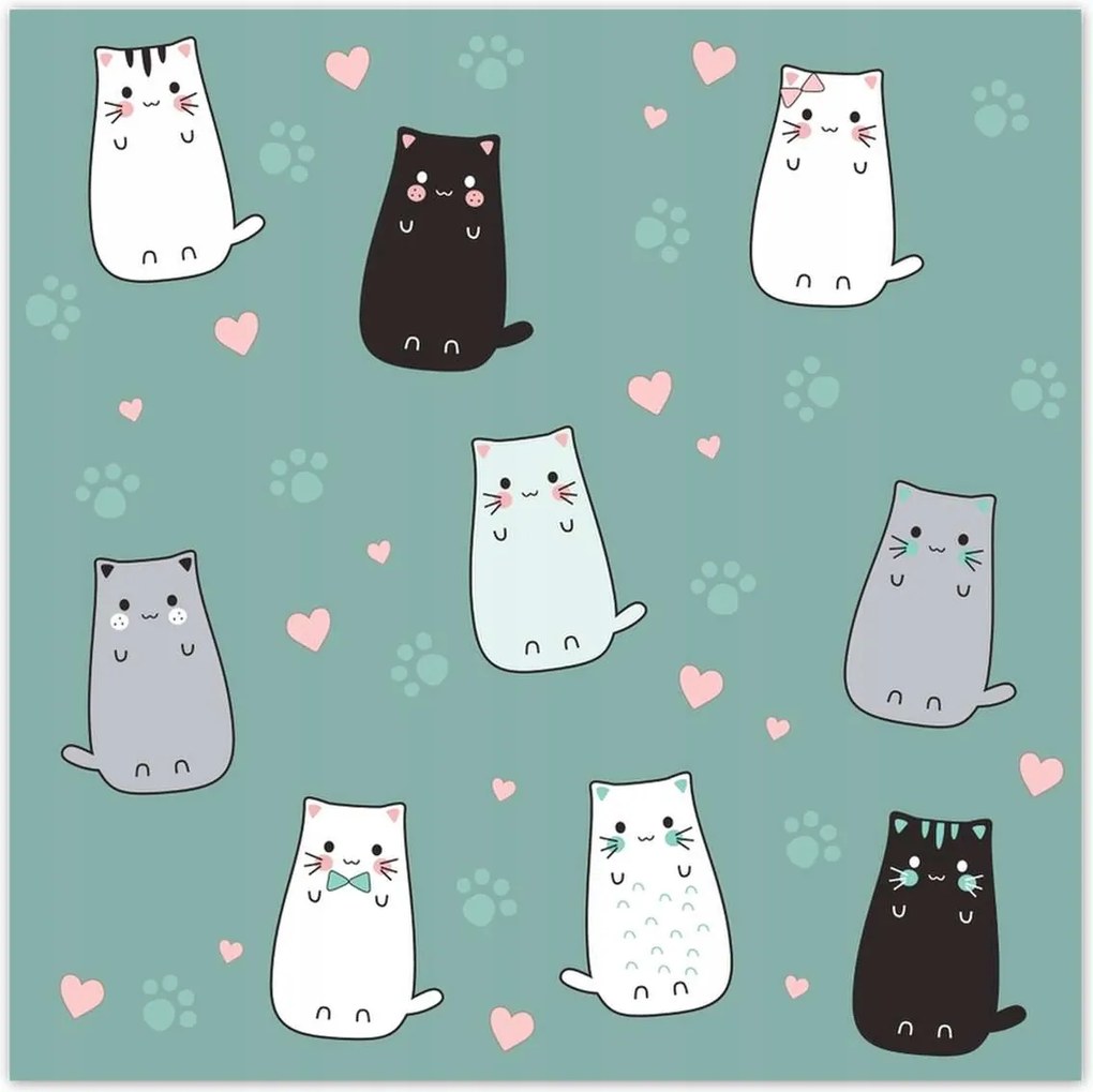 Poszterek 30x30 Cica Cicák Macskák