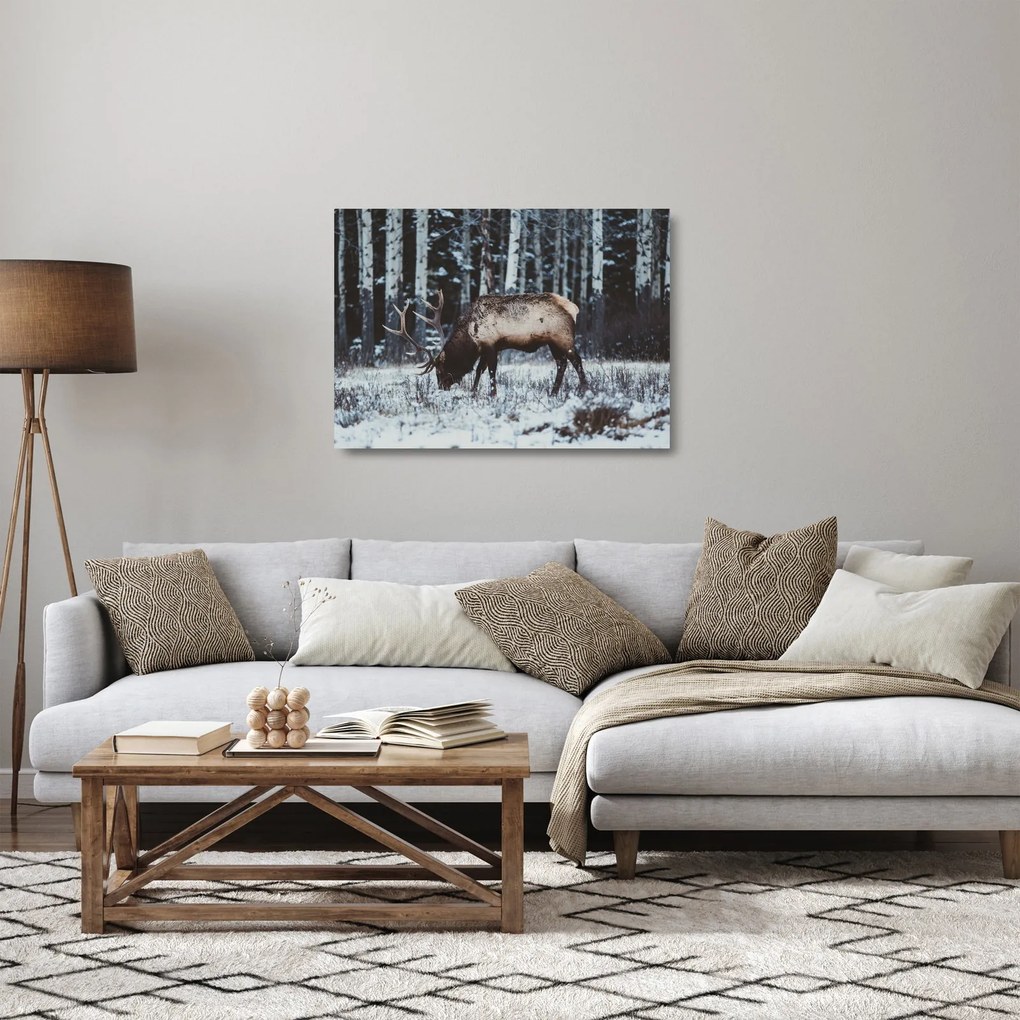 Kép - szarvas télen (üvegen) (70x50 cm)