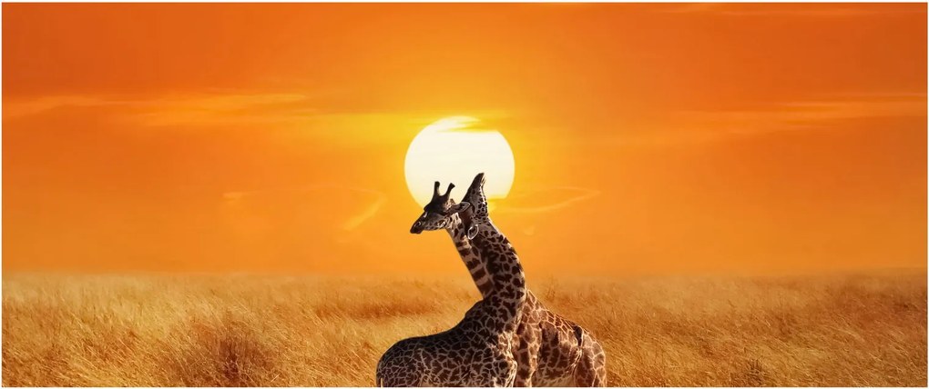 Kép - Zsiráfok a Serengeti Nemzeti Parkban (120x50 cm)