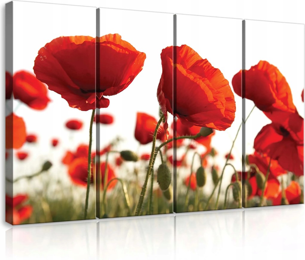 Vászonkép 120x80 Pipacsok piros mező nyár nap természet virágok fali dekoráció