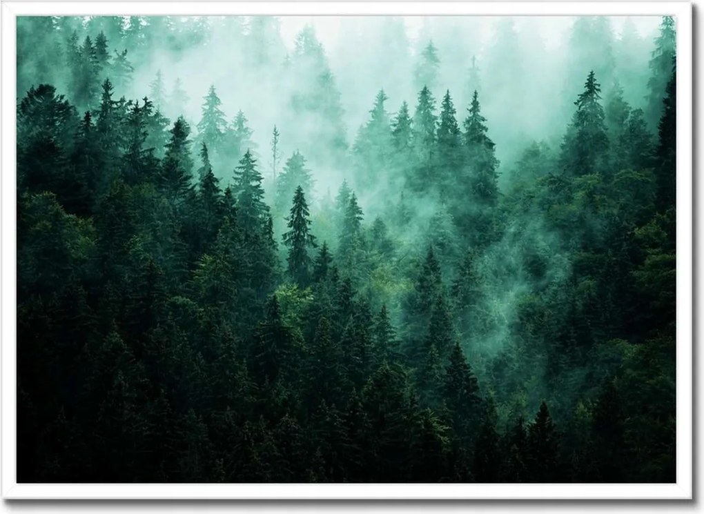Poszter fehér keretben 70x50 Erdő Köd Tájkép Utazás