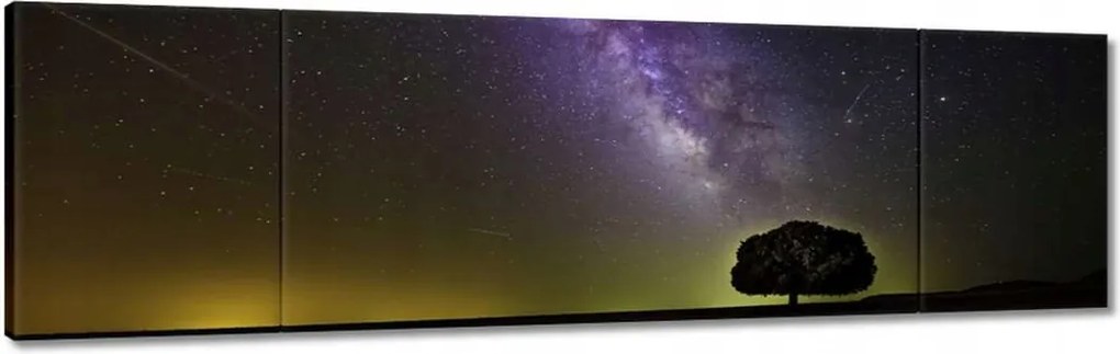 Vászonkép 170x50 Csillagos éj