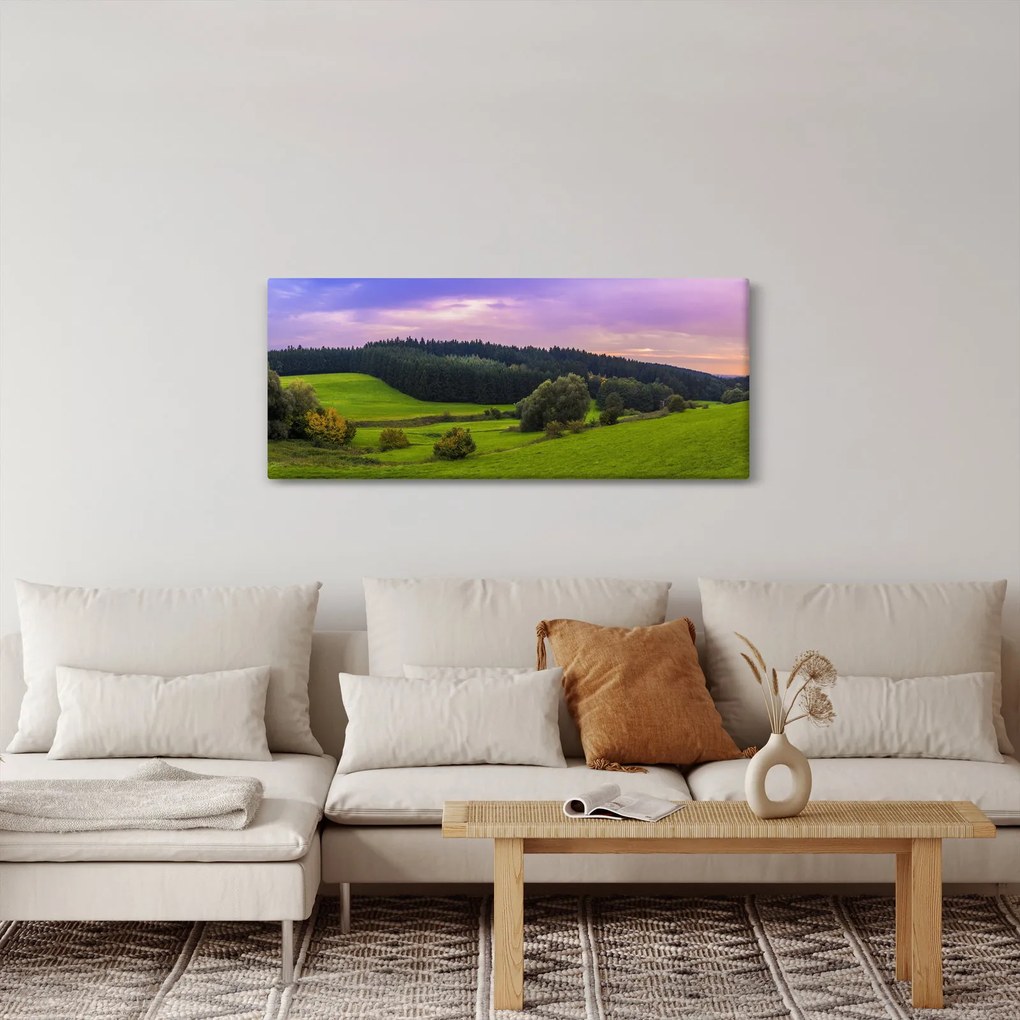 Rét képe (120x50 cm)