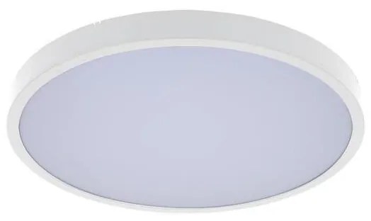 Rabalux Rabalux 71427 - LED Fürdőszobai mennyezeti lámpa ALENZO LED/24W/230V IP44 fehér RL71427