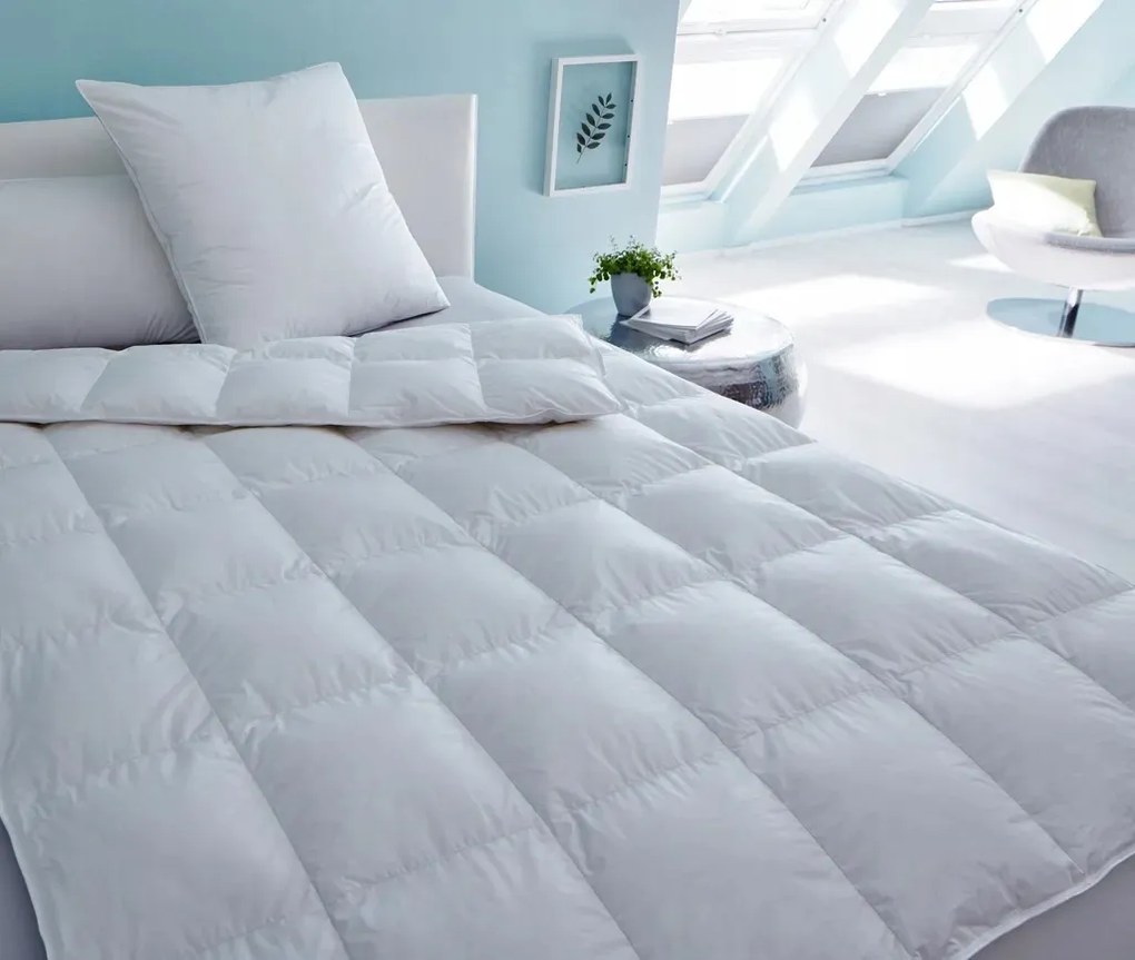 Pehelypaplan Künsemüller Sweet Dreams 155x220 cm