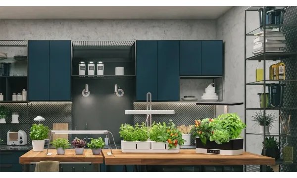 Ledvance - GARDEN KIT LED/24W/230V beltéri növénylámpa