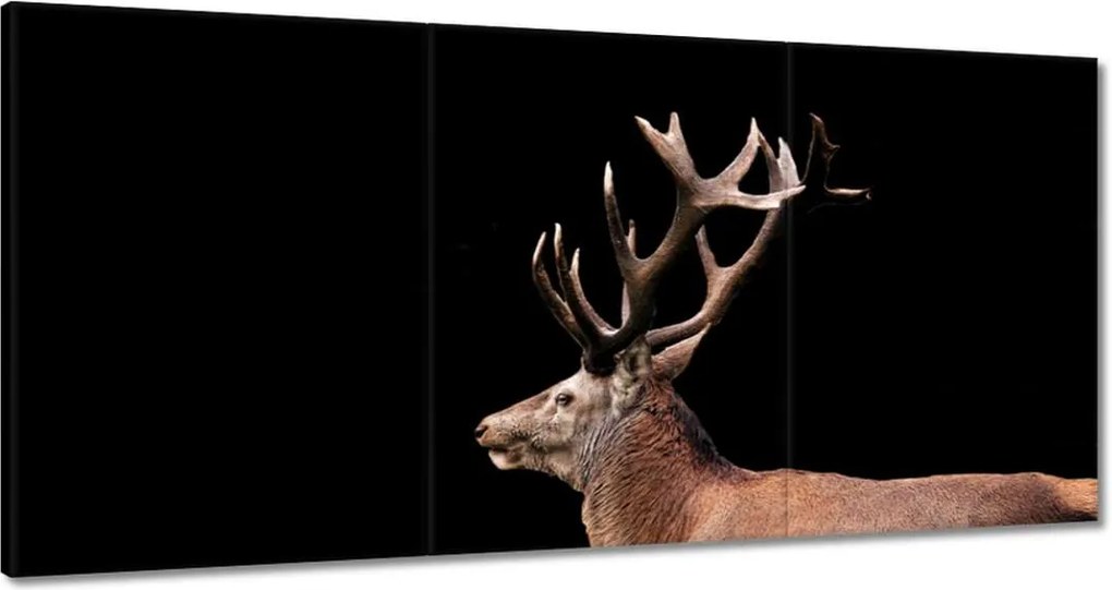 Vászonkép 180x90 Szarvas szarvakkal