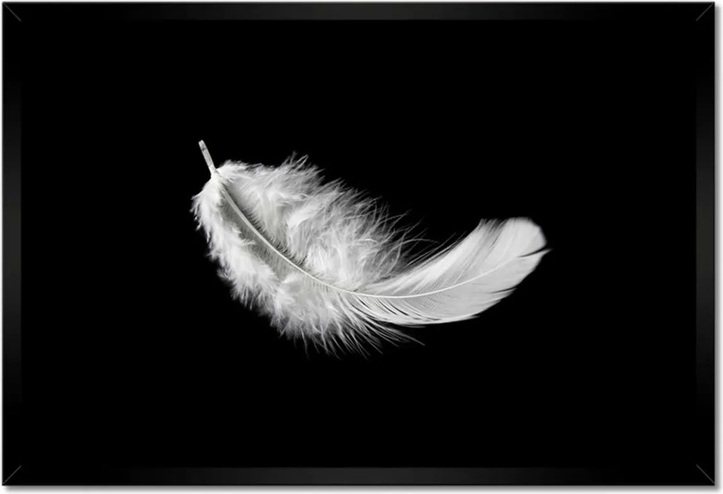 Poszter keretben 60x40 Bolyhos fehér toll