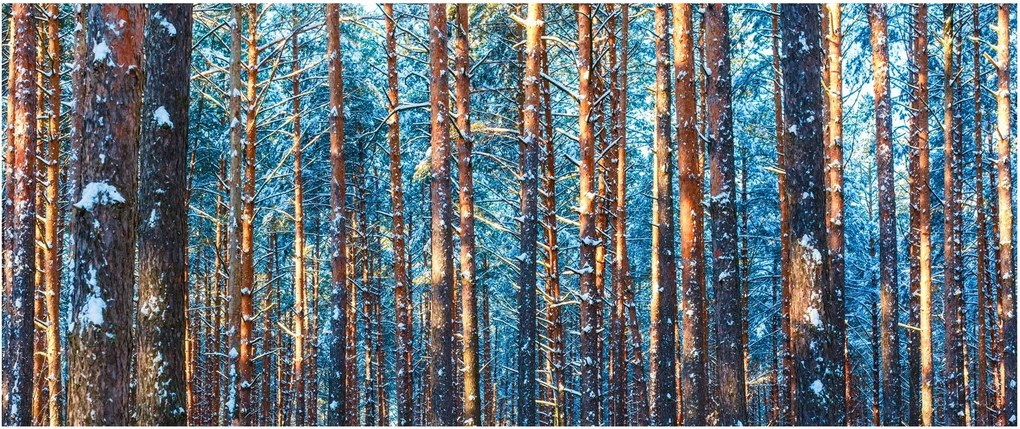 Kép - téli erdő (120x50 cm)