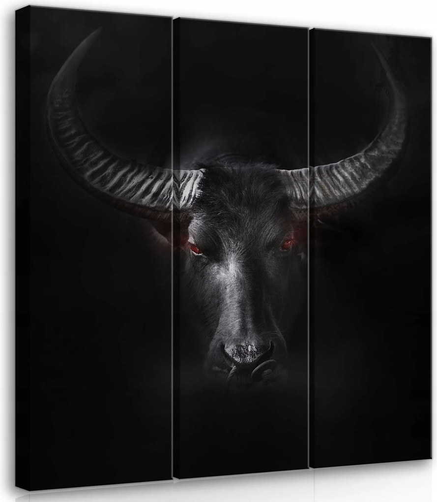 Vászonkép 90x100 Fekete bika erő tekintet állat művészet
