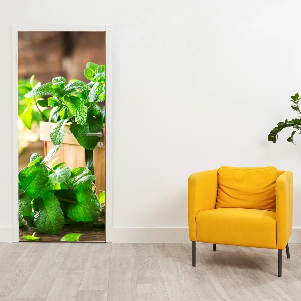 Fotótapéta ajtóra - Friss menta (95x205cm)