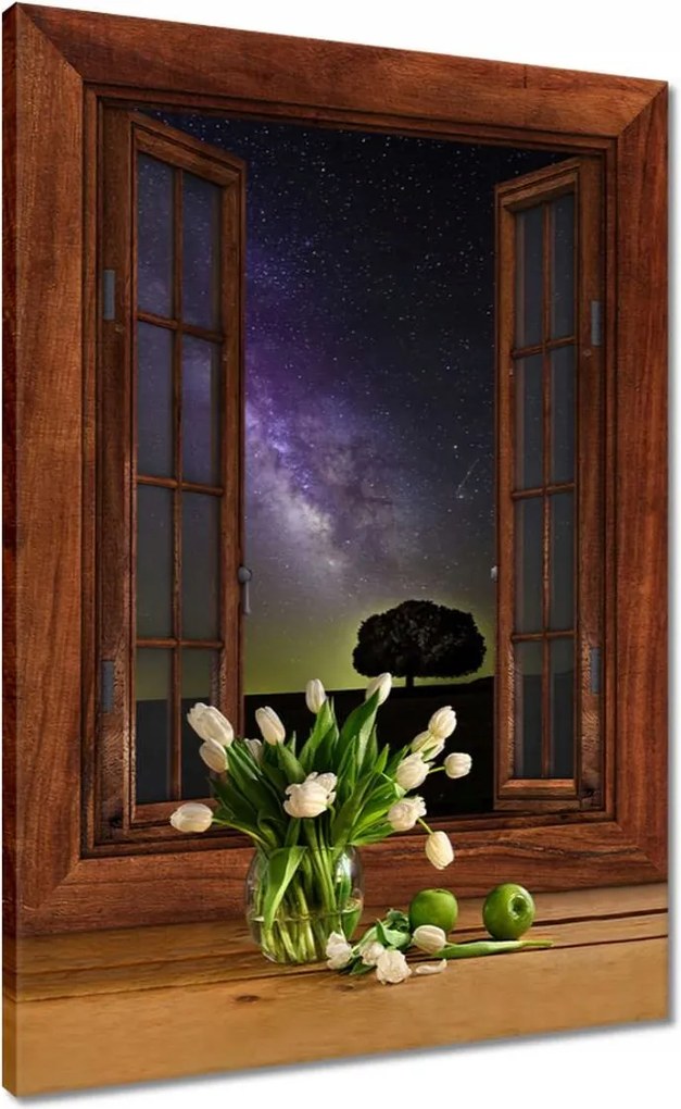 Vászonkép 50x70 Csillagos éj