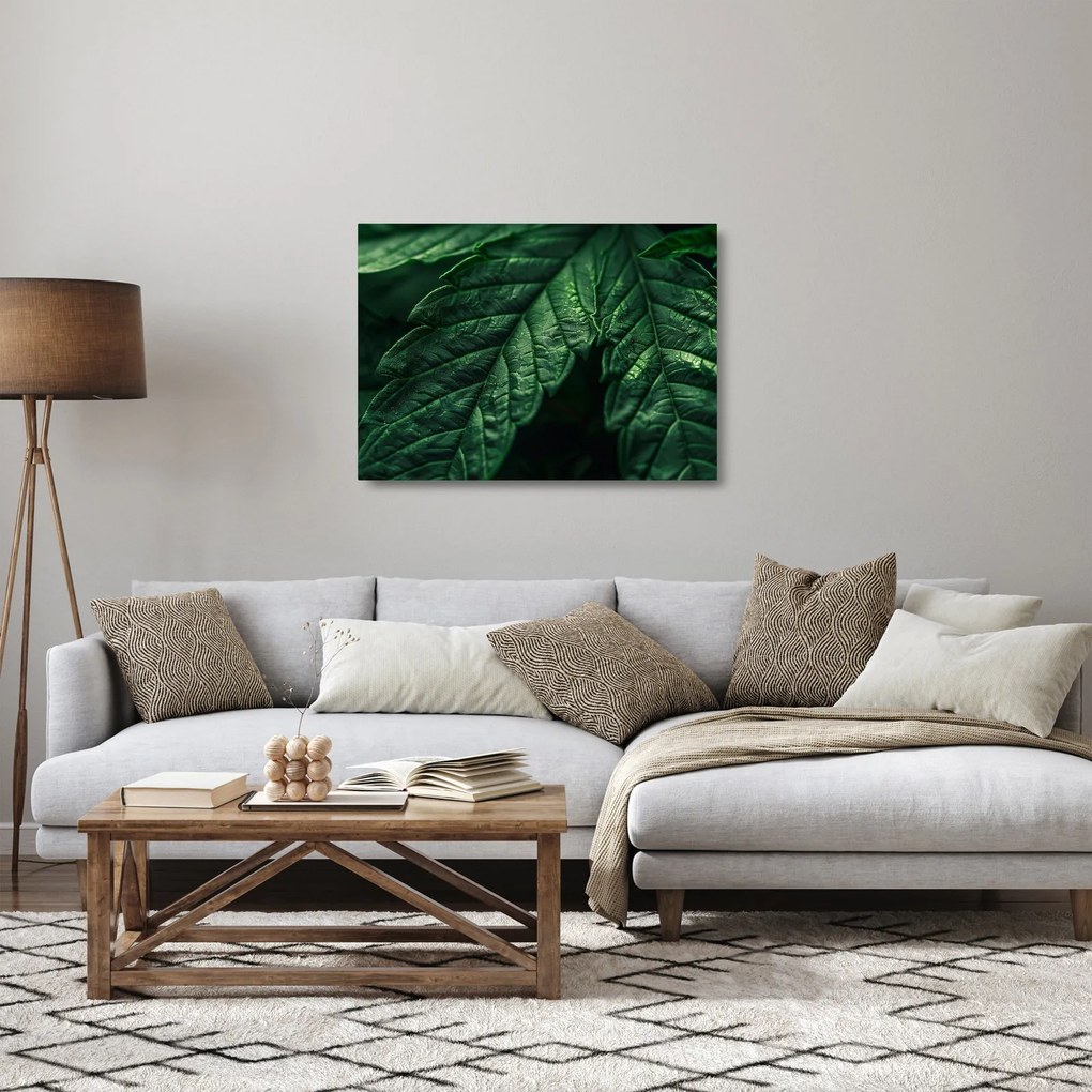 Üveg kép - A lap részletei (70x50 cm)