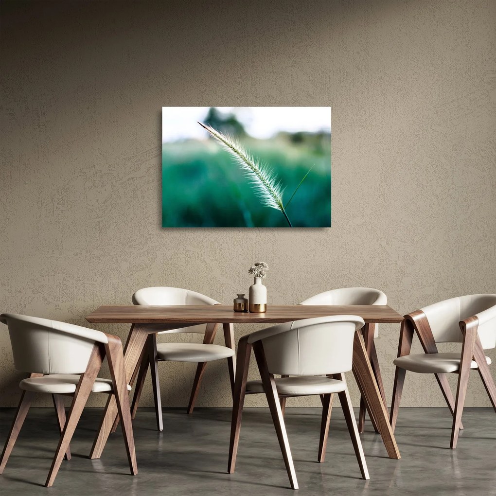 Fűszál képe (üvegen) (70x50 cm)