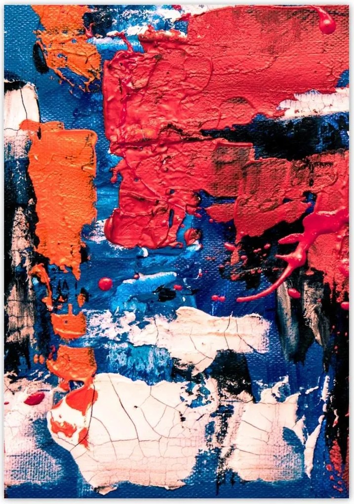 Poszterek 70x100 Absztrakt Kaméleon