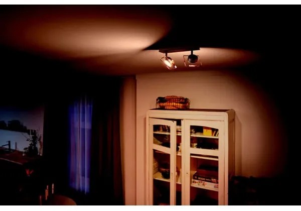 Philips 50482/17/PO - LED Spotlámpa GOLYGON 2xLED/4,5W/230V