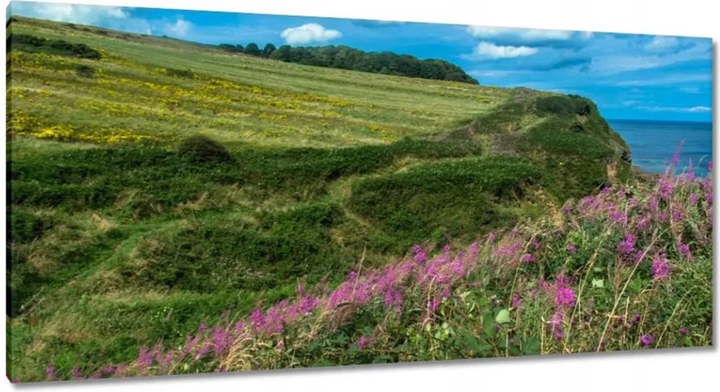 Vászonkép 115x55 Virágos rét a tengerparton