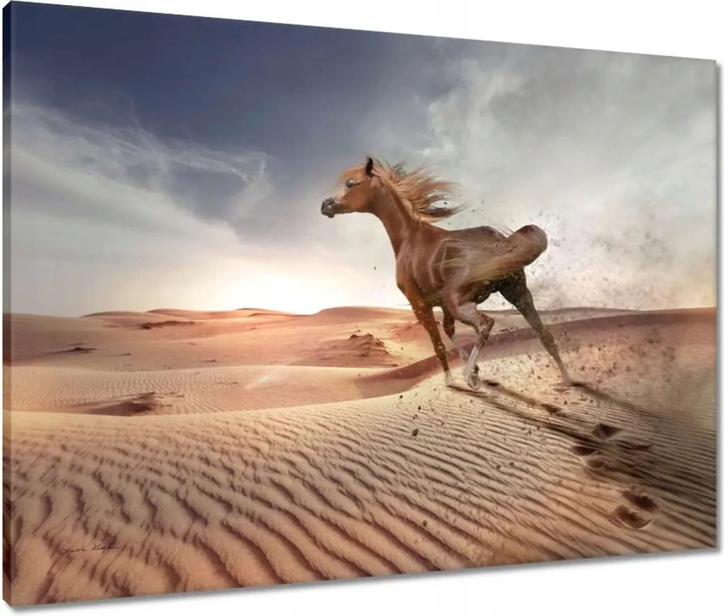 Vászonkép 80x60 Galoppozó ló