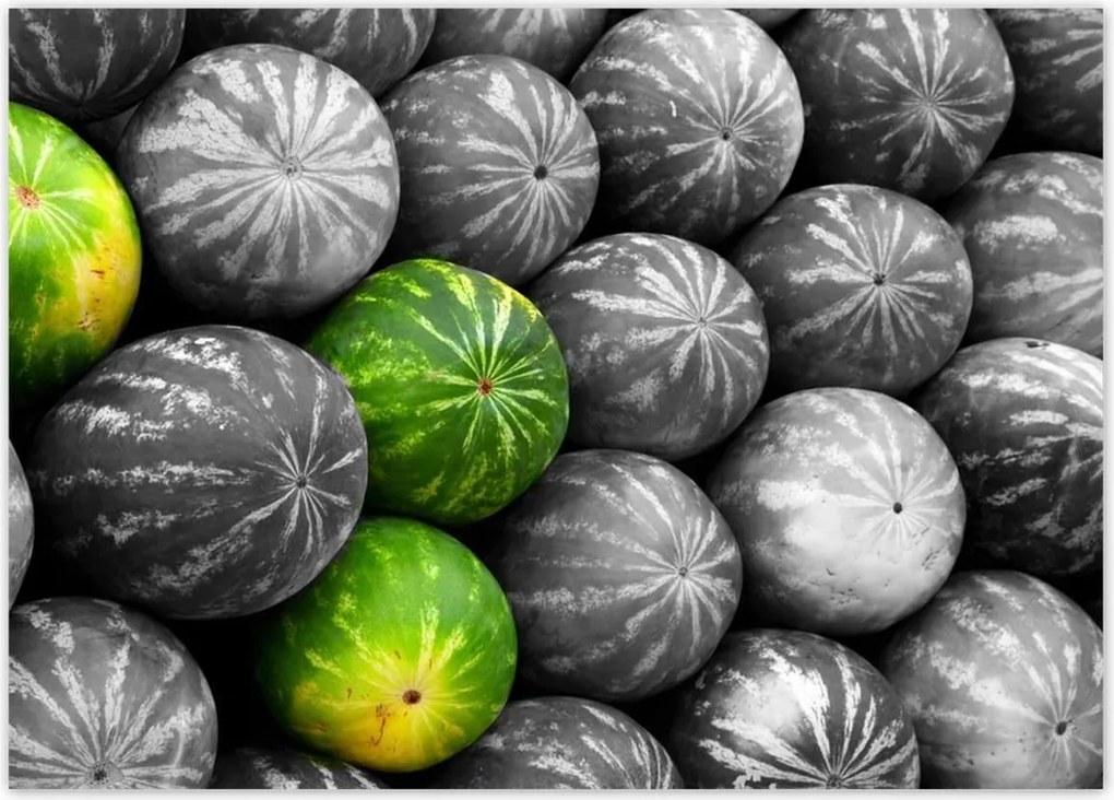 Poszterek 70x50 Három színes görögdinnye