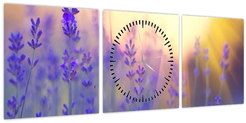 Kép - Levendula (órával) (90x30 cm)