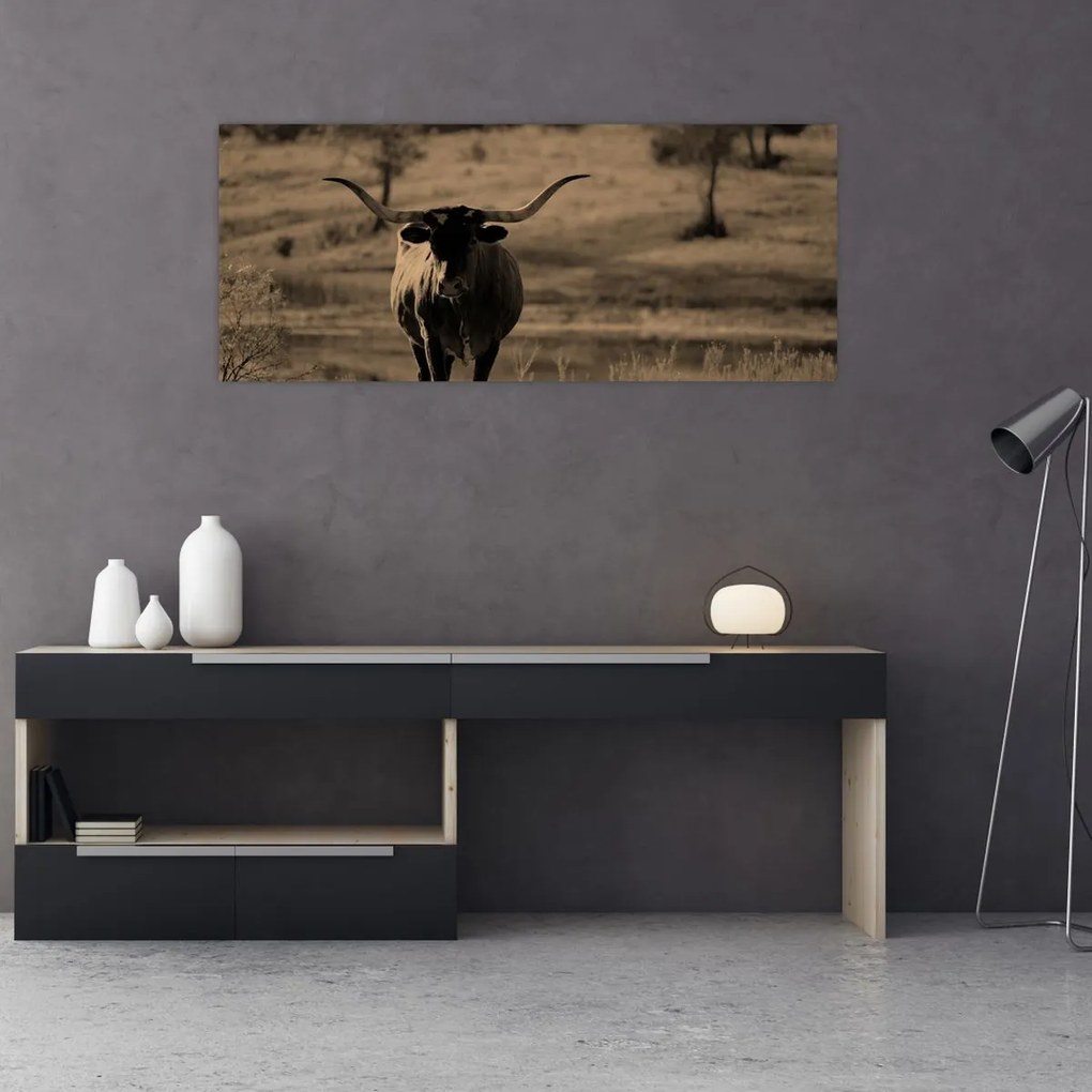 Kép - Texasi tehén (120x50 cm)