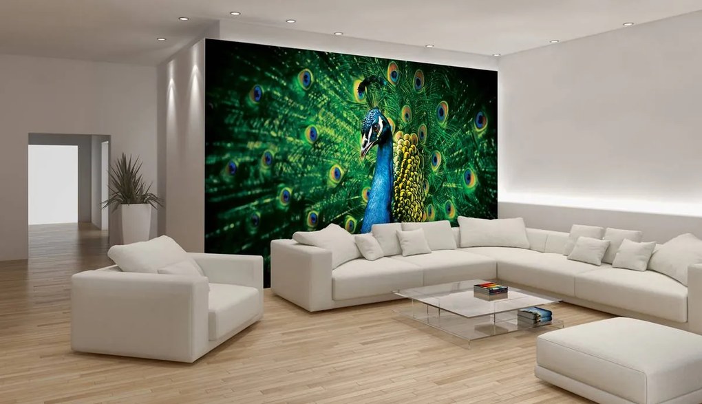 Fotótapéta - Páva (152,5x104 cm)