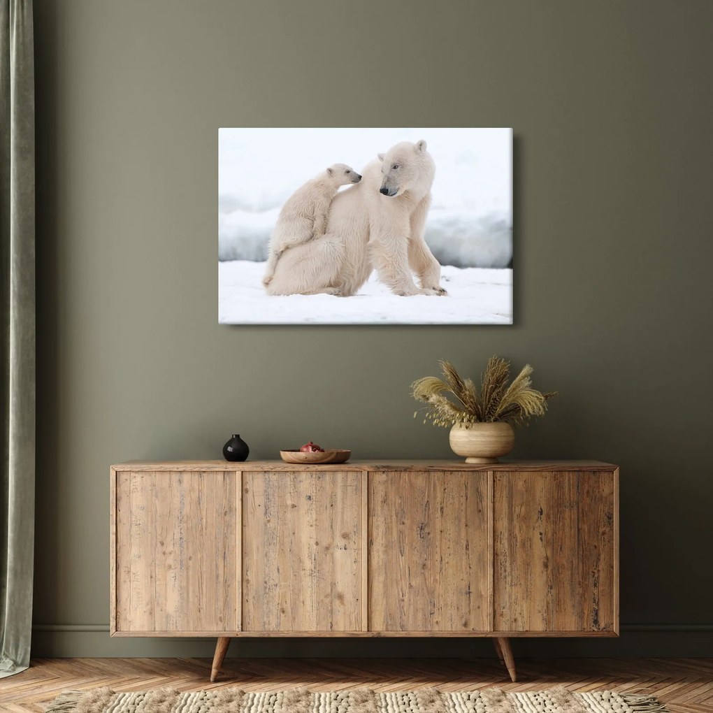 Kép - Jegesmedvék (90x60 cm)