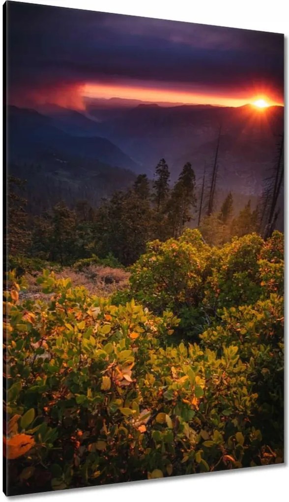 Festmények 80x120 Kilátás Tájkép