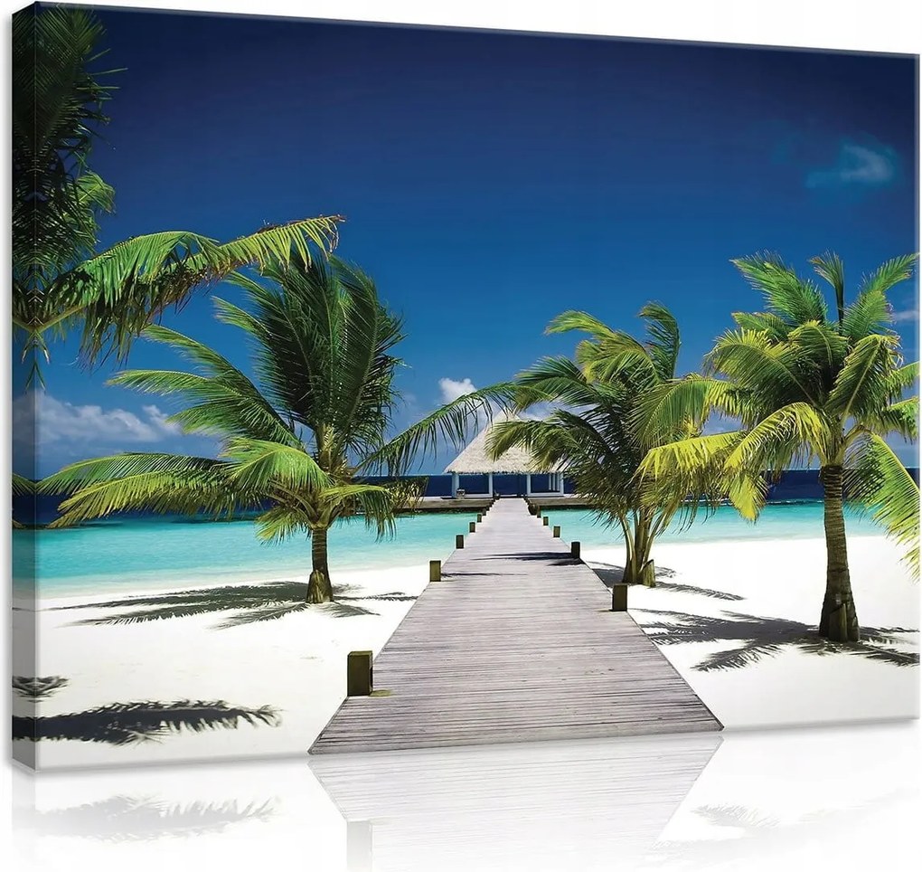 Vászonkép 60x40 Trópusok paradicsom tengerpart óceán pálmafák nyaralás nyugalom nap álom