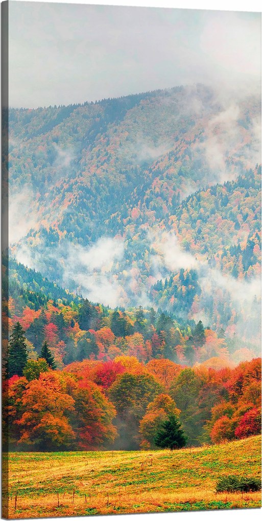 Vászonkép Hegy Erdők Rétek Felhők Természet 60x120 cm