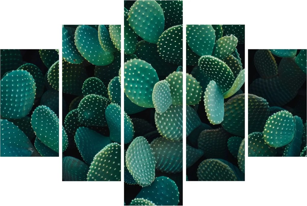Kép - Opuntia (150x105 cm)
