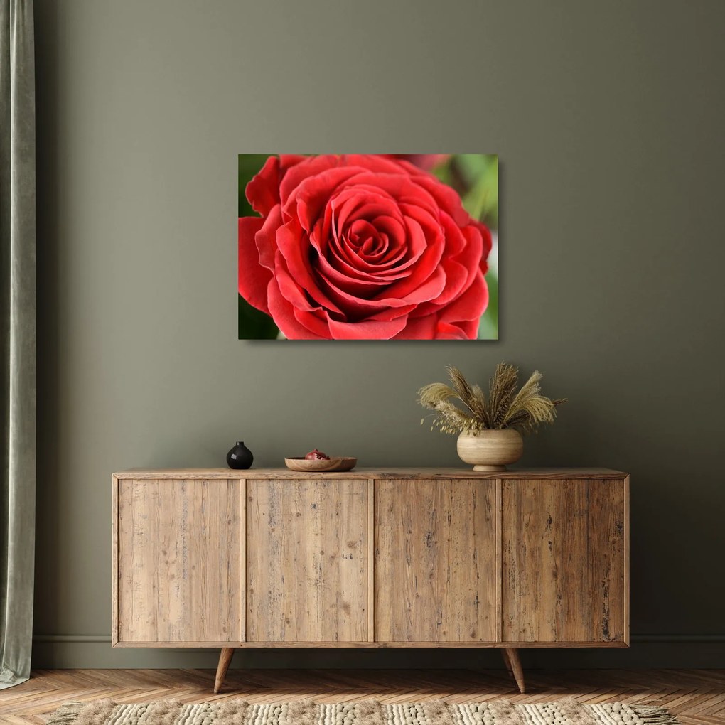 Egy rózsa virág képe (üvegen) (70x50 cm)