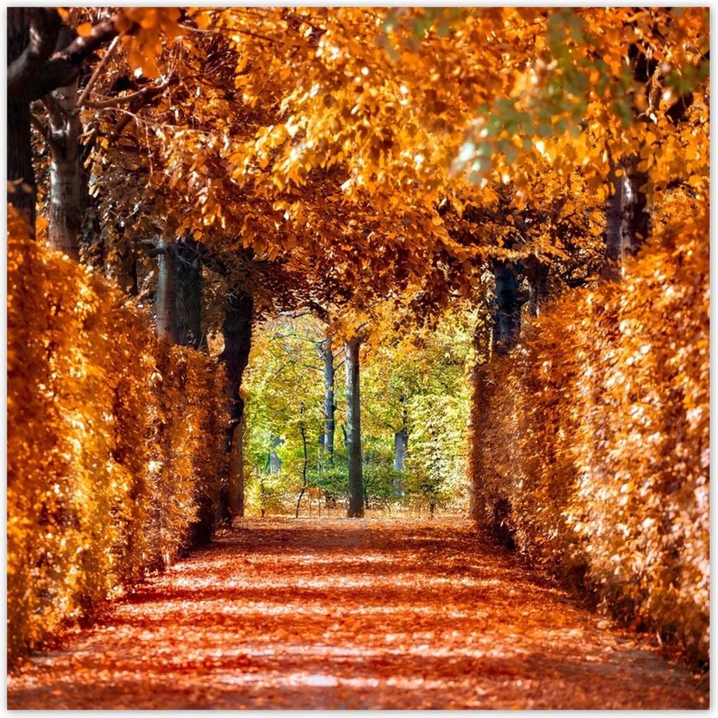 Poszterek 30x30 Tájkép Látvány