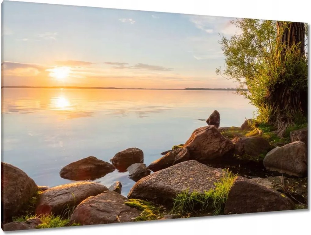 Vászonkép 120x80 Kövek fák tenger